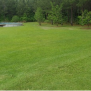cheap-lawn-cutting-businesses-in-Savannah-GA
