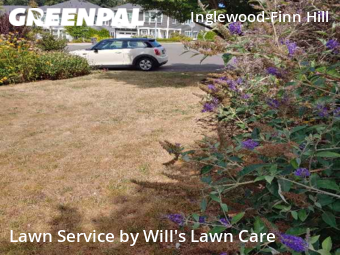 Lawn Mow nearby Kirkland, WA, 