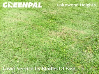Lawn Mowing nearby Atlanta, GA, 