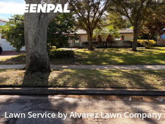Lawn Servicein Winter Park,32789,Lawn Cutting by Alvarez Lawn Company, work completed in Dec , 2025