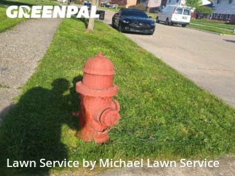 Lawn Mow nearby Livonia, MI, 