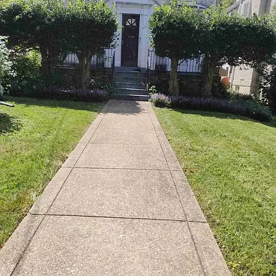 Lawn Love Lawn Care of Washington DC Photo 17