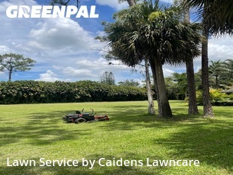 Lawn Mowing nearby Wellington, FL, 