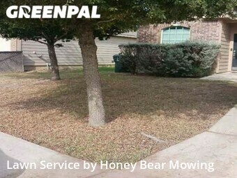 Grass Cutting nearby San Antonio, TX, 