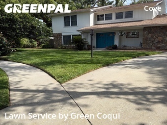 Grass Cut nearby Tampa, FL, 