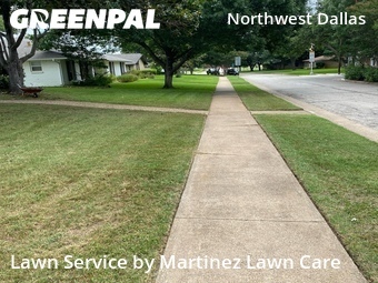 Lawn Care nearby Dallas, TX, 