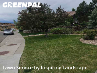 Yard Work in Lone Tree, 80124, Yard Services by Inspiring Landscape, work completed in Nov , 2025