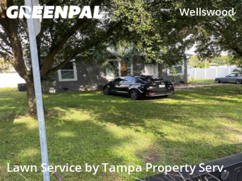 Yard Mowing nearby Tampa, FL, 