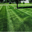 affordable-landscaping-maintenance-services-in-Bloomington-MN