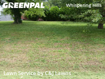Lawn Mowing nearby Nashville, TN, 