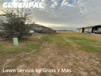 Lawn mowed in Harlingen, 78550