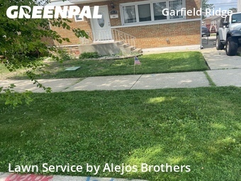 Yard Cutting nearby Chicago, IL, 