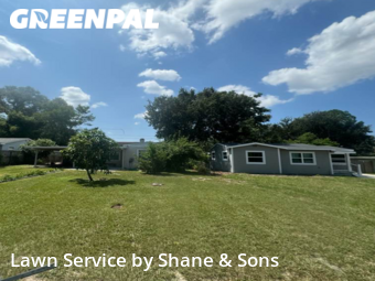 Lawn Cutting nearby St. Petersburg, FL, 