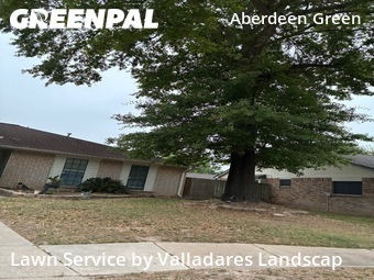 Grass Cut nearby Cypress, TX, 