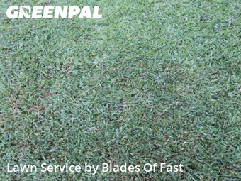 Grass Cutting nearby East Point, GA, 