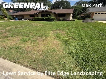 Lawn Cut nearby San Antonio, TX, 
