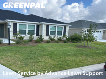 Grass Cut nearby The Villages, FL, 