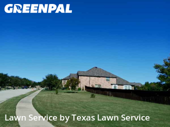 Lawn Cutin Roanoke,76262,Lawn Cutting by Texas Lawn Service, work completed in Feb , 2026