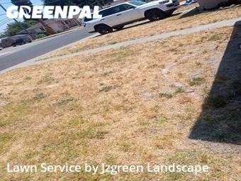 Grass Cutting nearby San Lorenzo, CA, 