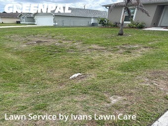 Lawn Mow nearby Palm Bay, FL, 