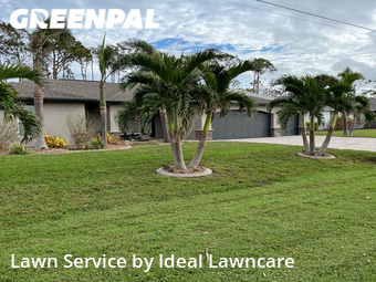 Grass Cut nearby Cape Coral, FL, 