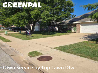 Yard Cuttingin Denton,76209,Yard Cutting by Top Lawn Dfw, work completed in Jan , 2026