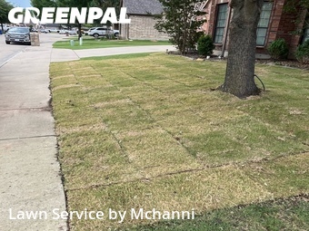 Lawn Service nearby Burleson, TX, 