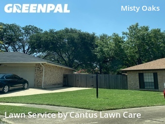 Grass Cutting nearby San Antonio, TX, 