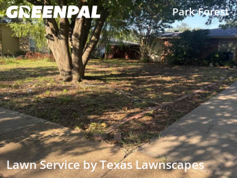 Lawn Carein Plano,75023,Lawn Care Service by Texas Lawnscapes, work completed in Oct , 2025