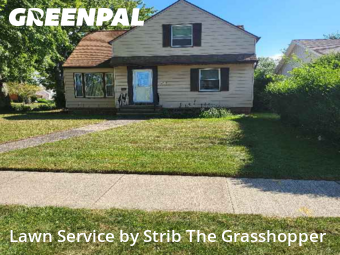 Lawn Management in South Euclid, 44121, Garden Trimming by Strib The Grasshopper, work completed in Dec , 2025