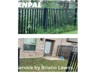 Grass Cut nearby Plano, TX, 