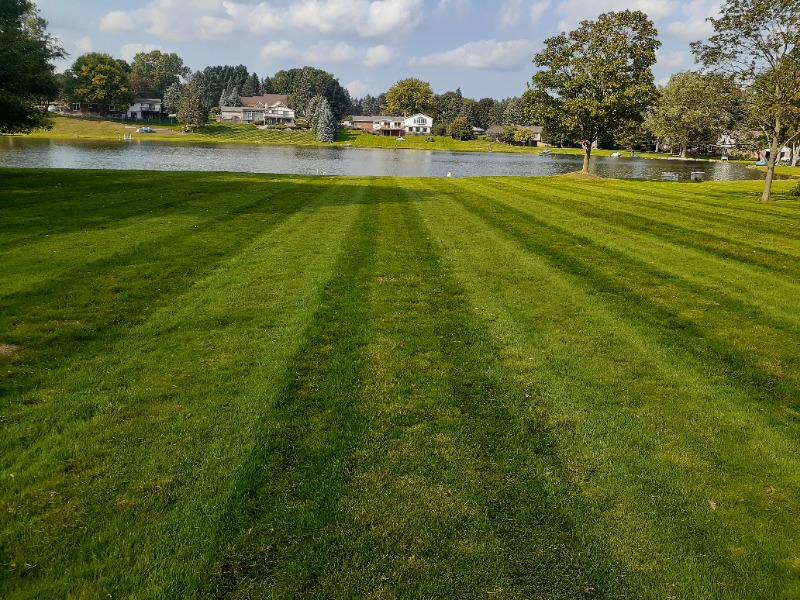 Order Lawn Care in Pontiac, MI, 48210