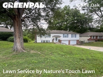 Grass Cut nearby Raytown, MO, 