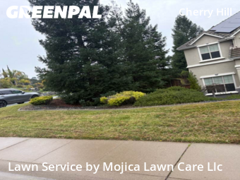 professional-lawn-care-service-in-Davis-CA