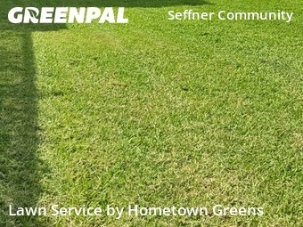 Lawn Maintenance nearby Seffner, FL, 