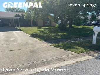 Lawn Mowing nearby Trinity, FL, 