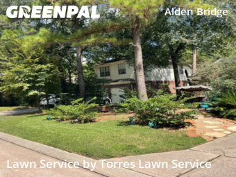 Yard Cutting nearby The Woodlands, TX, 