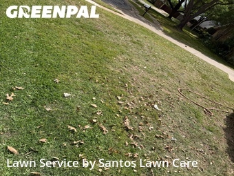 Grass Cutting nearby Euless, TX, 