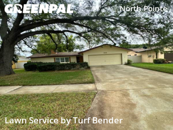 Lawn Mow nearby Tampa, FL, 