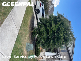 Grass Cut nearby Leander, TX, 