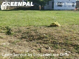 Yard Mowing nearby Columbus, OH, 