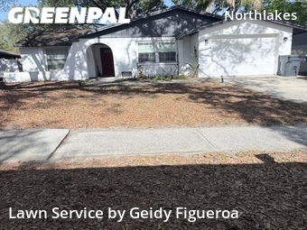 Grass Cut nearby Tampa, FL, 