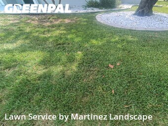 Lawn Mow nearby Lady Lake, FL, 