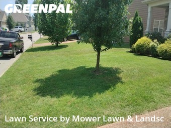 Lawn Service nearby Spring Hill, TN, 