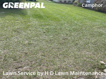 Lawn Cut nearby Lakeland, FL, 