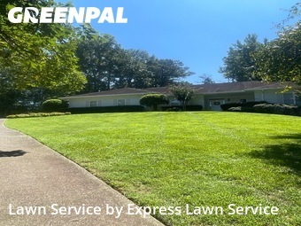 Lawn Mow nearby Duluth, GA, 