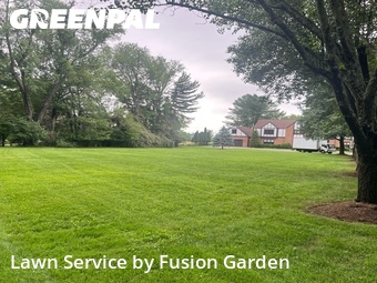 Lawn mowed in Potomac, 20854