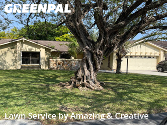 Yard Cutting nearby Miami, FL, 