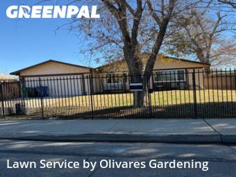 Backyard Landscaping In Lancaster,93535,Landscaping Services by Olivares Gardening , work completed in Dec , 2025