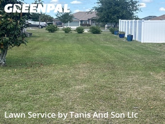 Grass Cut nearby Ocala, FL, 